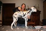 DALMATIEN - BROSSAGE 055